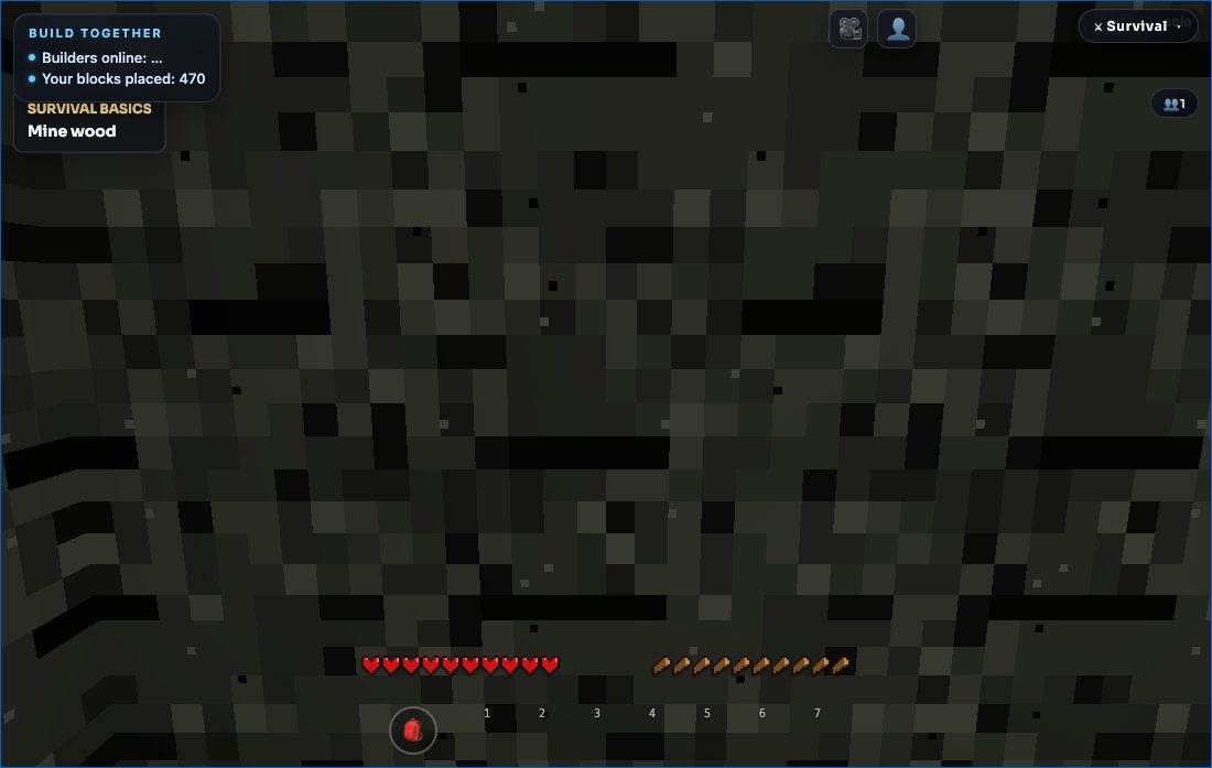 A real frame of the shared block world people build in together