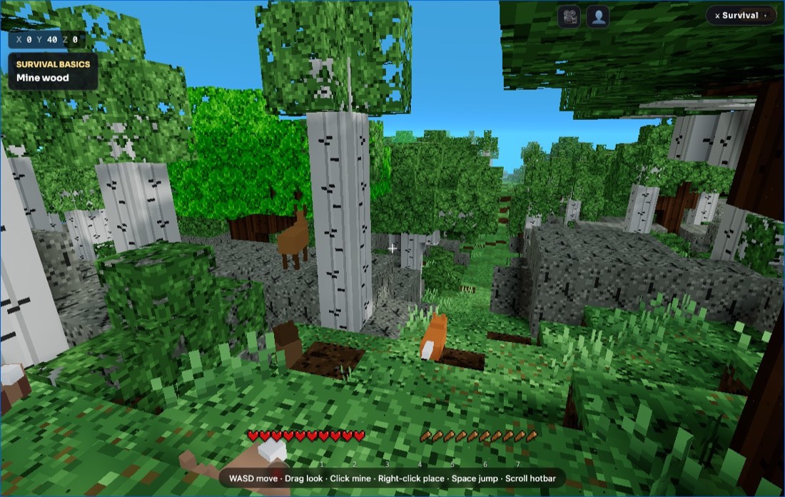 A real frame of the generated voxel forest world